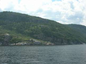 tadoussac 025.jpg